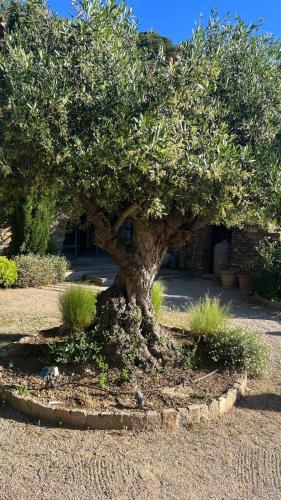 Κήπος έξω από το Chambres d'hôtes Le Pontillaou