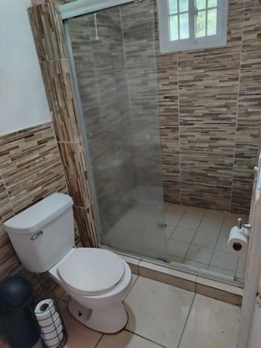 a bathroom with a toilet and a shower at Hotel Cabañas Casita La Ermita in San Carlos
