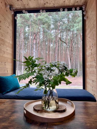 Woodland - dom z sauną i balią