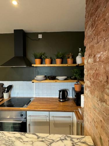 una cocina con plantas sobre una estufa en NEW Camden Kentish Town garden London up to 4 ppl, en Londres