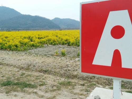 a sign in front of a rapeseed field at Vessel Hotel Kurashiki in Kurashiki