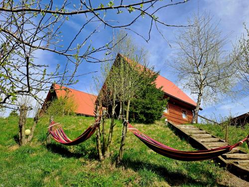 a couple of hammocks in front of a cabin at Zakątek Włóczykija in Cisna