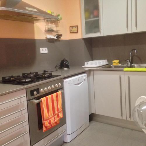 a kitchen with a stove and a dishwasher at Calella Can Saula ll in Calella