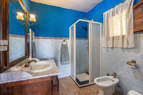 a bathroom with a toilet and a sink and a shower at La Terrera in Órgiva