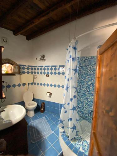 y baño con aseo, lavabo y ducha. en Mar D'Africa, en Lampedusa