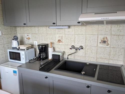 een keuken met een wastafel en een magnetron bij Appa Apartments in Portorož