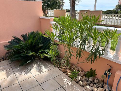 Taman di luar Gran Alacant Relax Casa