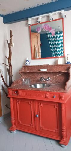 a red bathroom vanity with a mirror and a sink at Le Relais De Rochepaule in Rochepaule
