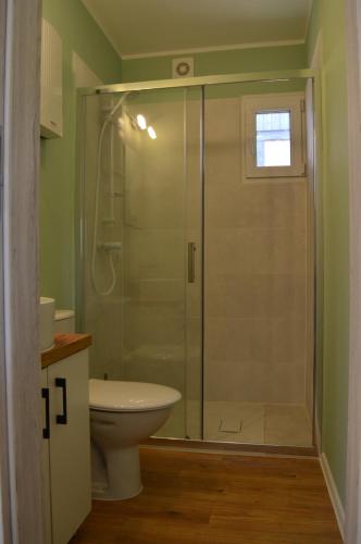 a bathroom with a shower with a toilet and a sink at Agroturystyka Dzikie Stawy-Mazury in Golubie Wężewskie