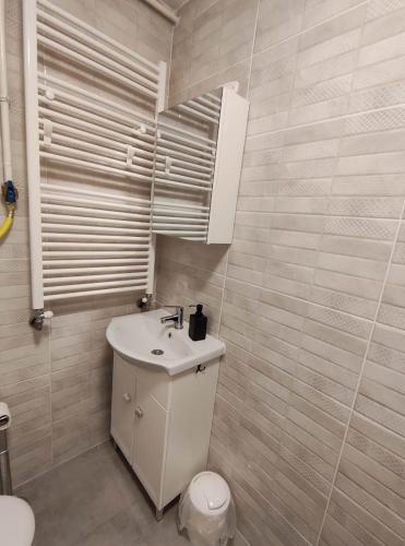 a bathroom with a white sink and a toilet at NassaFlat Apartman in Pécs