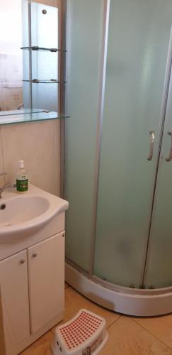 a bathroom with a shower and a sink at Family Villa Sarapin in Kretinga