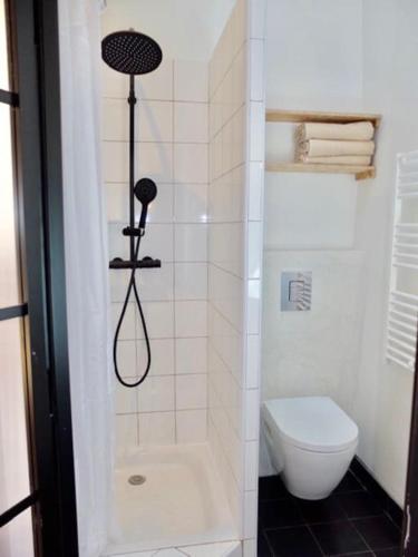 une petite salle de bain avec douche et toilettes dans l'établissement L'aixois - Terrasse au cœur d'Aix-en-Provence #3, à Aix-en-Provence