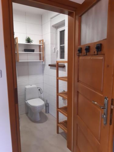 a bathroom with a toilet and a wooden door at Domek letniskowy Klimkówka 182 in Ropa