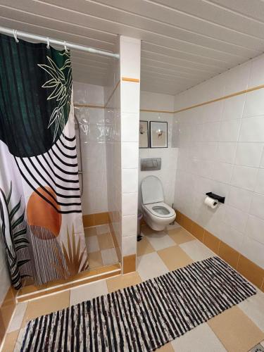 a bathroom with a shower with a toilet and a rug at Zevari studio with amazing views! in Folhadosa