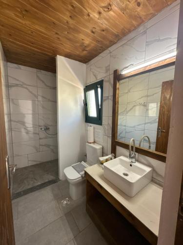 een badkamer met een wastafel, een toilet en een spiegel bij Galini Tropica in Agia Galini