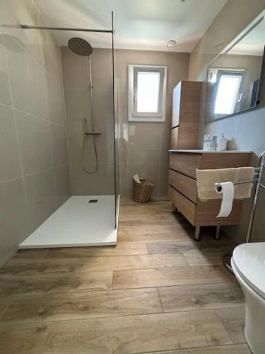 une salle de bain avec une douche, des toilettes et un lavabo dans l'établissement Villa bord de mer Appietto LAVA, à Appietto