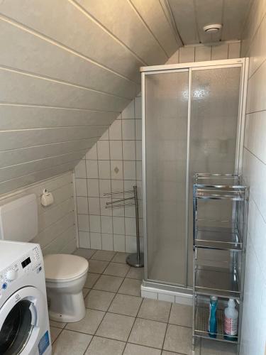 a small bathroom with a shower and a toilet at Ferienhaus Gunzenberg in Gunzenberg