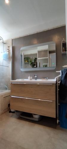 une salle de bain avec un lavabo et un miroir dans l'établissement Location saisonnière logement les pieds dans l’eau, à La Seyne-sur-Mer