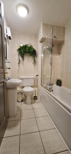 a bathroom with a toilet and a tub and a sink at Liffey Suite in Dublin