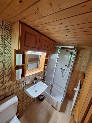a bathroom with a shower and a sink at Zom Ruaba in Bartholomäberg