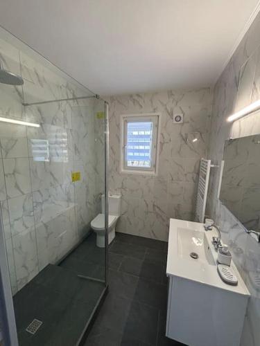 une salle de bain avec une douche, un lavabo et des toilettes dans l'établissement Bas de Villa indépendant, à Borgo