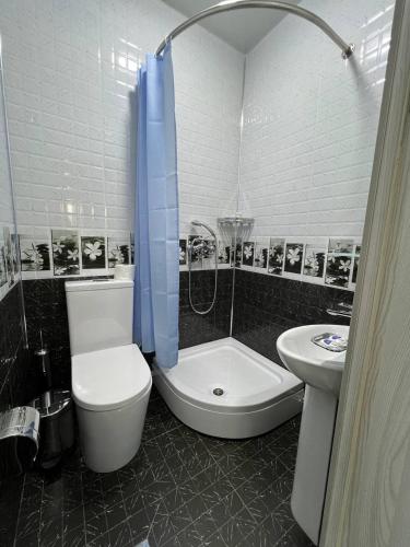a bathroom with a toilet and a shower and a sink at Shosh Garden Family Resort in Chorwoq