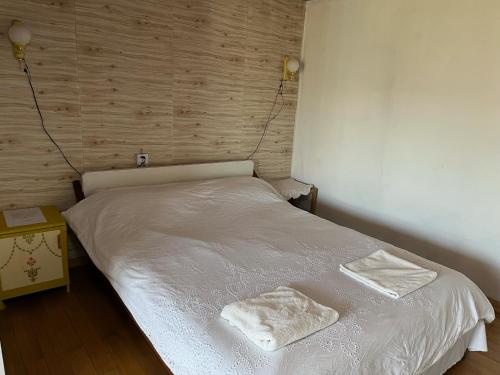 łóżko z dwoma ręcznikami w pokoju w obiekcie Gana's Guest House and Tours w Ułan Bator