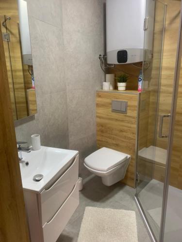 Ένα μπάνιο στο Apartamenty Jana Pawła