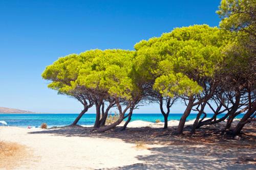Fotografie z fotogalerie ubytování Futura Club Cala Fiorita v destinaci Agrustos