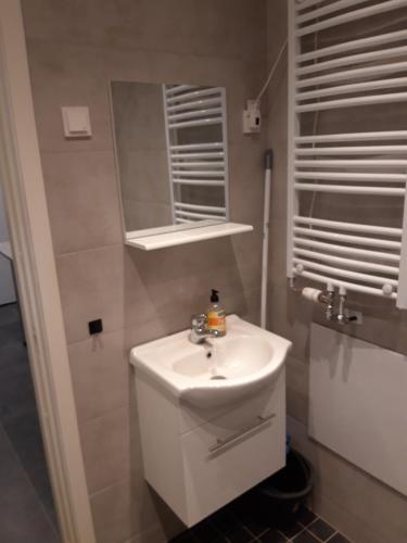 a bathroom with a white sink and a mirror at - Schönes kleines Apartment zum Schlafen - in Moholm