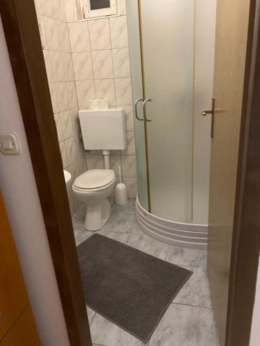 a bathroom with a toilet and a walk in shower at Sobe Braica in Drniš