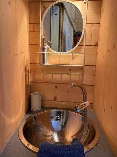 un baño con lavabo y espejo en Studio Tiny en duplex - face télécabines, en Ax-les-Thermes