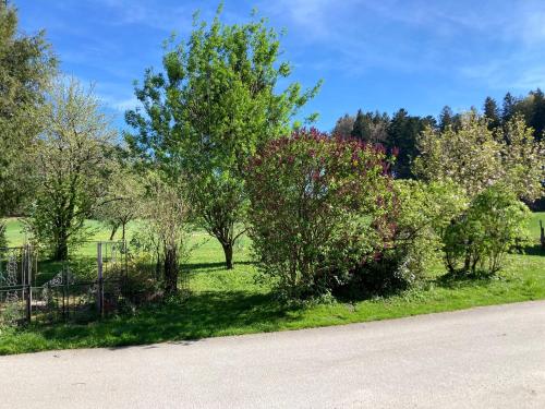 Jardin de l'établissement Obereggut