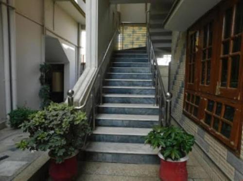 a staircase in a building with two potted plants at Deen Resort Motel in Mānsehra