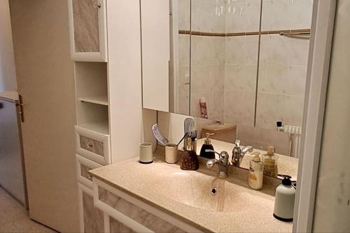 une salle de bain avec un lavabo et un miroir dans l'établissement Caravelle T1 lumineux au calme à 5 mn de la mer, à Argelès-sur-Mer