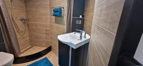 Un baño con lavabo, ducha e inodoro. en Studio Apartment Aurora, en Škofljica