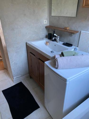une salle de bain avec un lavabo et une machine à laver dans l'établissement Appartement rosaluz, à Montpellier