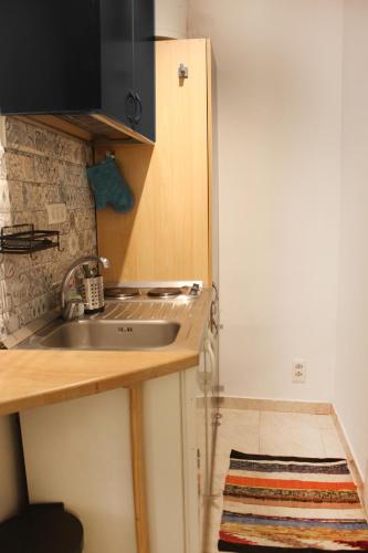 a kitchen with a sink and a counter top at Street Garden Apartment in Hvar