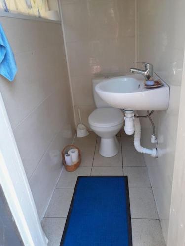 a small bathroom with a toilet and a sink at Pie Garozas in Lapmežciems