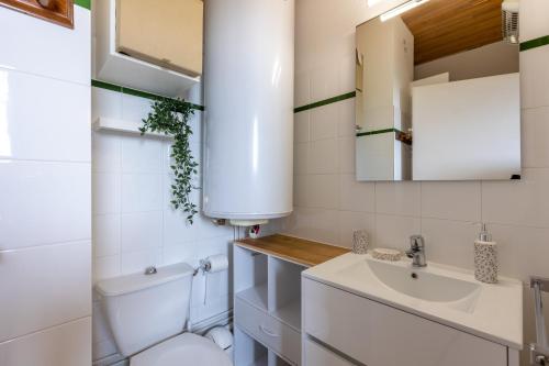 une petite salle de bain avec toilettes et lavabo dans l'établissement Cosy Wood - Appt vue lac et montagne, aux Angles