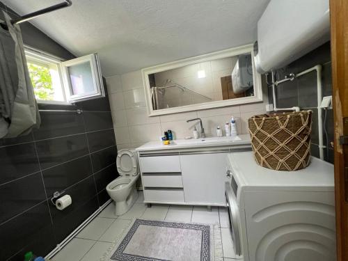 a small bathroom with a sink and a toilet at Family House Kalpačina in Žabljak