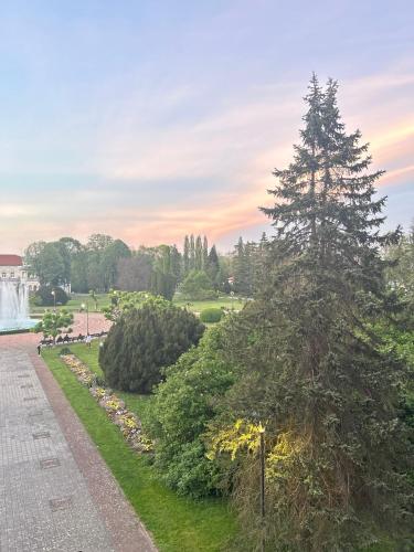 a view of a park with a pine tree at Vila Drina Apartments in Banja Koviljača