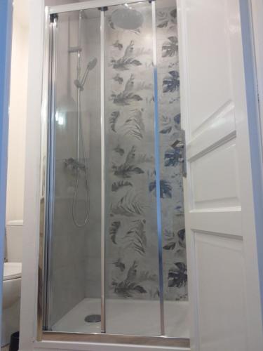 una doccia con porta in vetro in bagno di Gîte le beaujouas a Thiberville