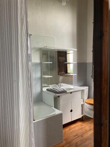 uma casa de banho com um lavatório e um espelho em LE POUY em Saint-Martin-de-Hinx