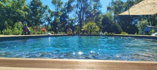 ein Wasserbad mit Enten, die darin schwimmen in der Unterkunft LE MOULIN DE LAUMET in Vic-Fezensac