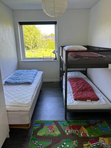 two bunk beds in a room with a window at Kokhaven 23 in Rødekro