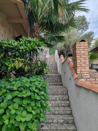 Κήπος έξω από το Apartment Bane