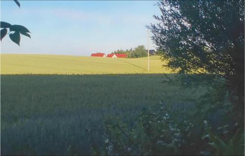 um campo de relva verde com uma casa vermelha ao fundo em Stunning Home In Ystad With Kitchen em Svarte