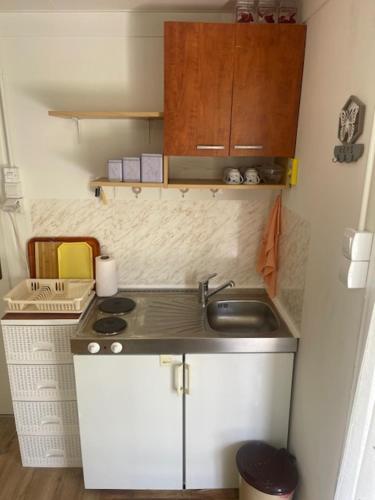 uma pequena cozinha com um lavatório e um fogão em Smještaj Dada em Trebinje