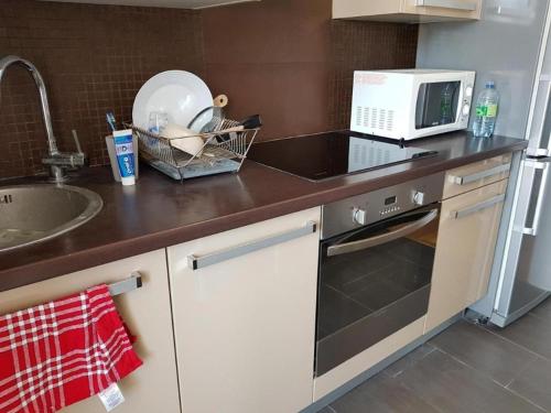una cucina con lavandino e forno a microonde di Private room in an apartment of 3 rooms a Tolone